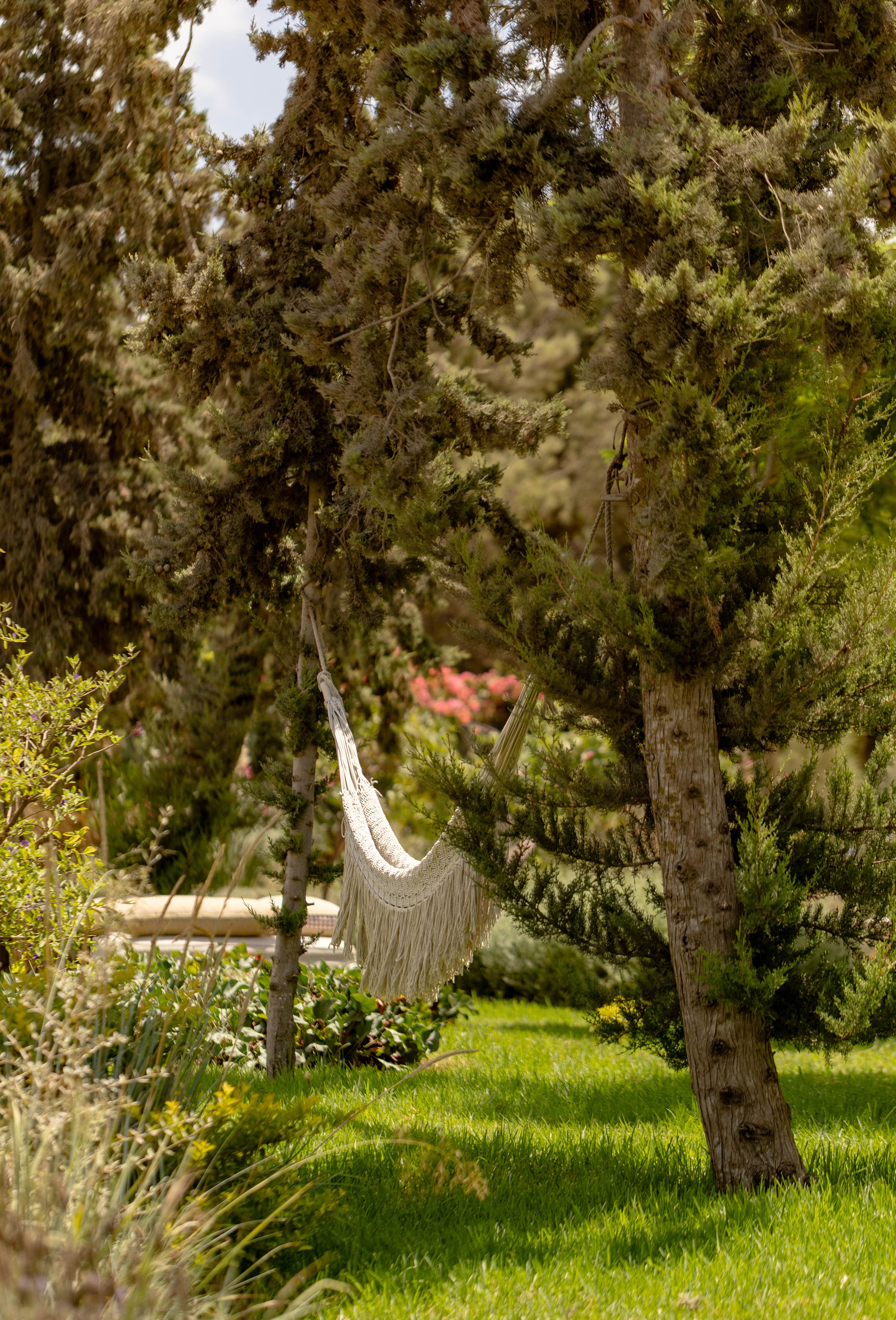 Hamac à franges tendu entre deux cyprès du jardin