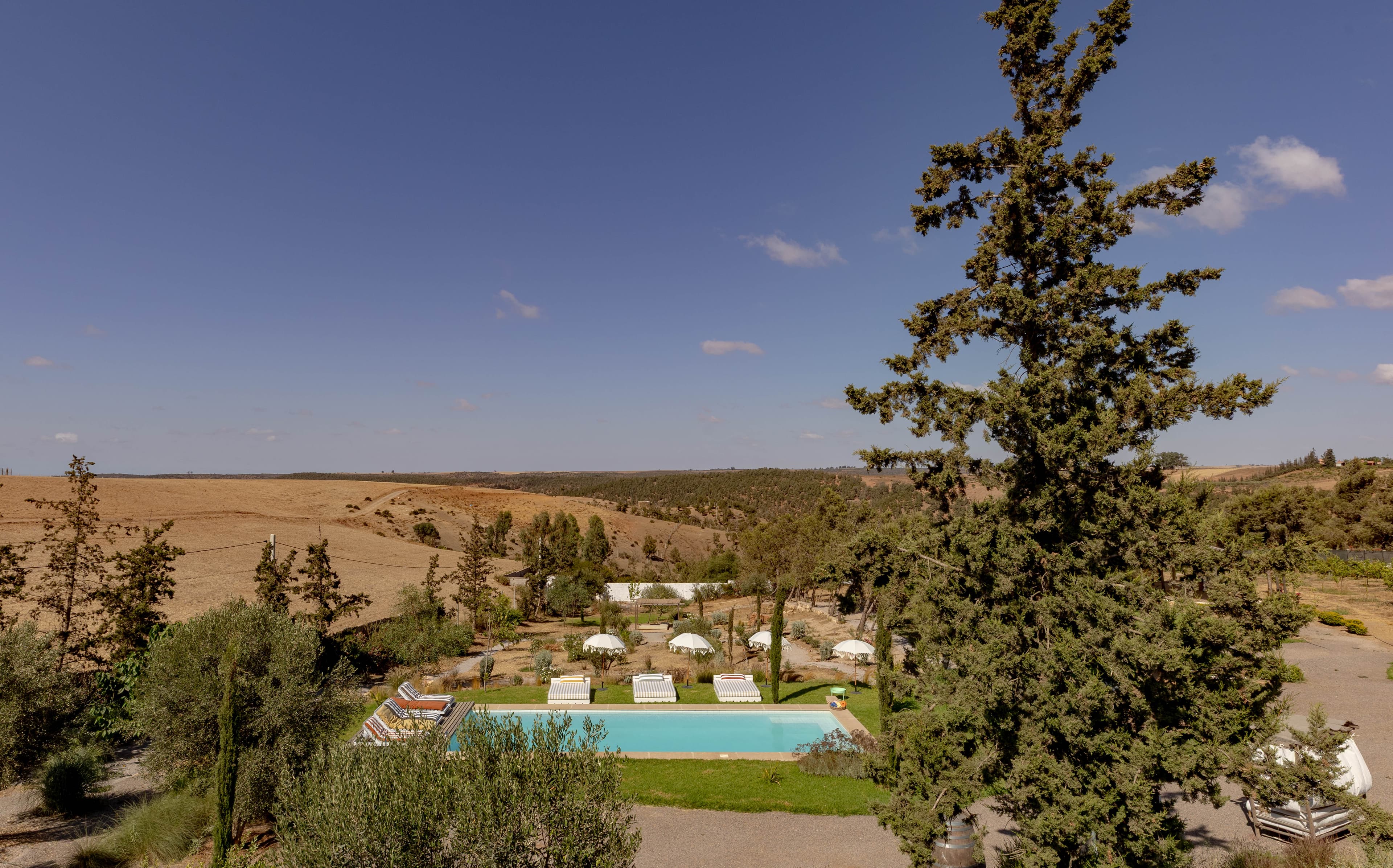 Les collines dorées de Benslimane et la piscine du domaine sous les pins, vues du Toit